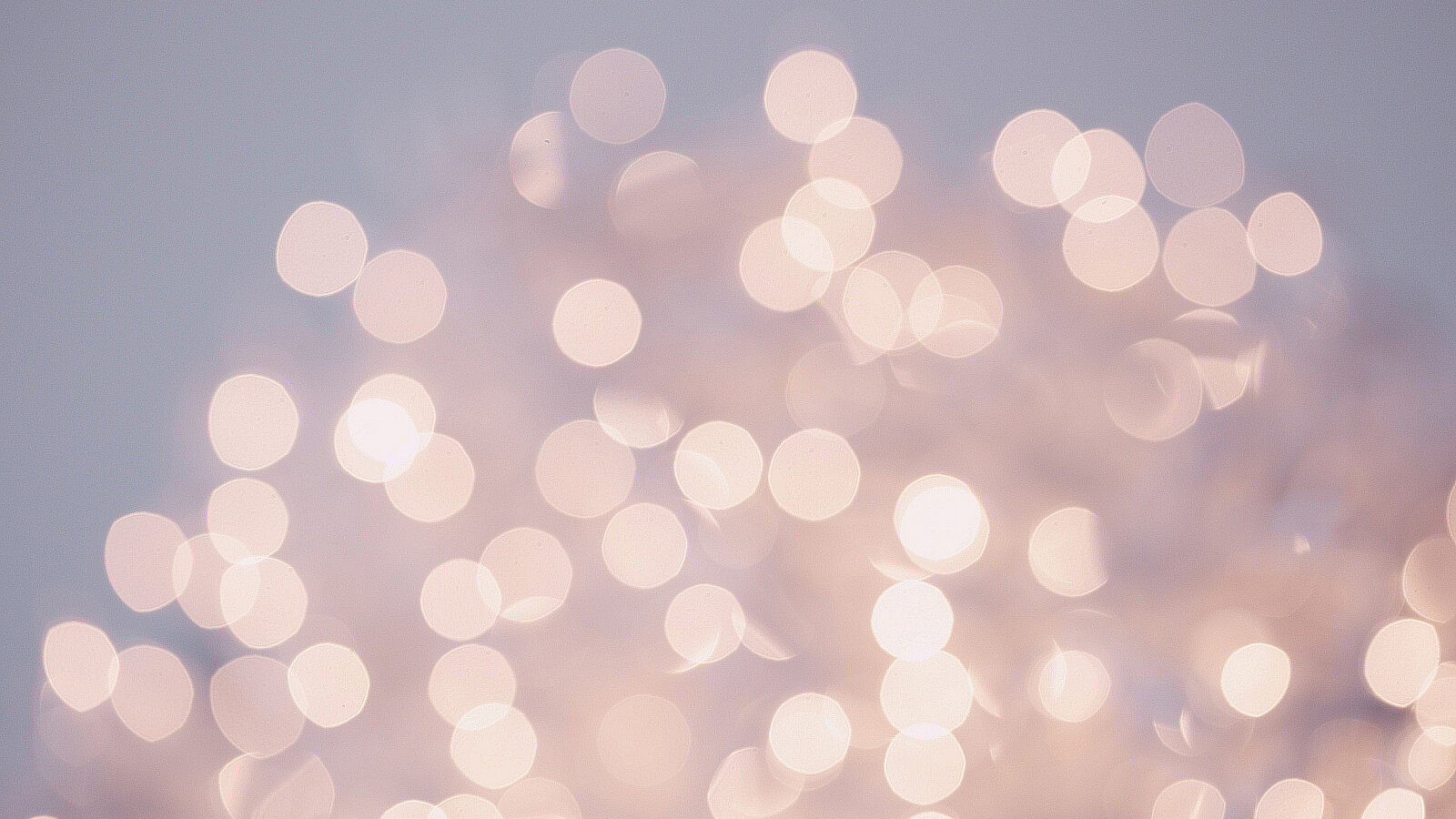 DigiKids zweitausendNEUzehn